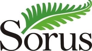 Sorus